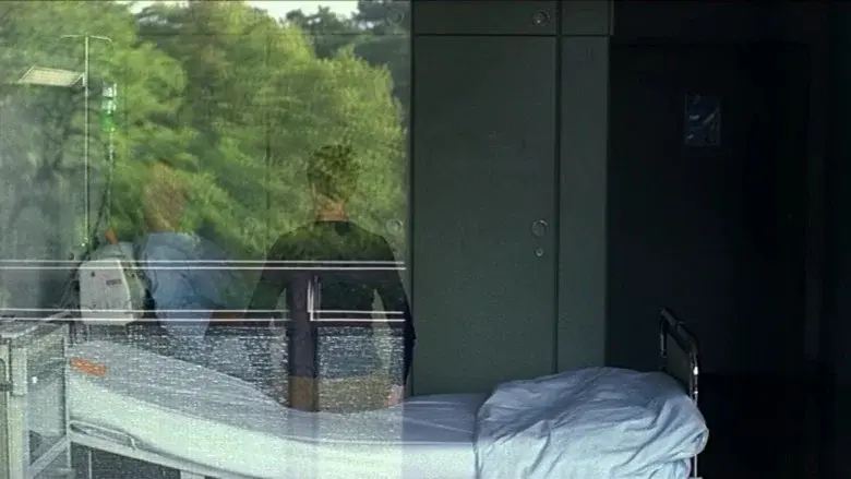 Mein langsames Leben - Fondo