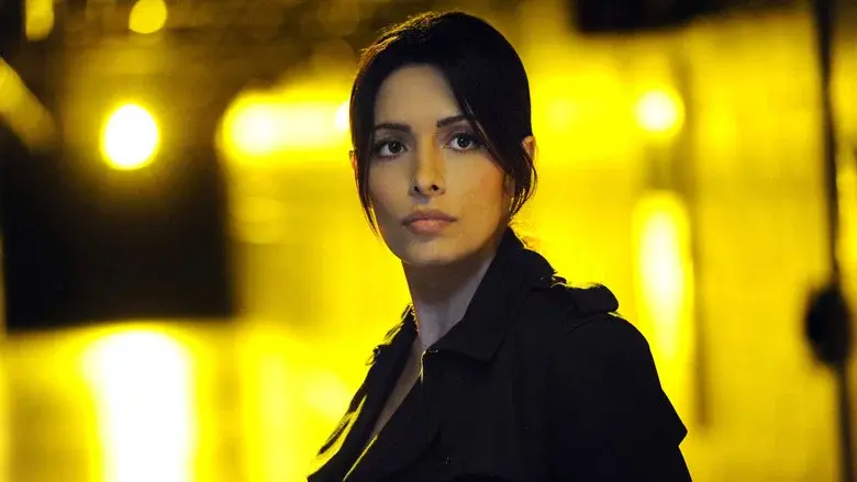 Vigilados, Person of Interest - Fondo