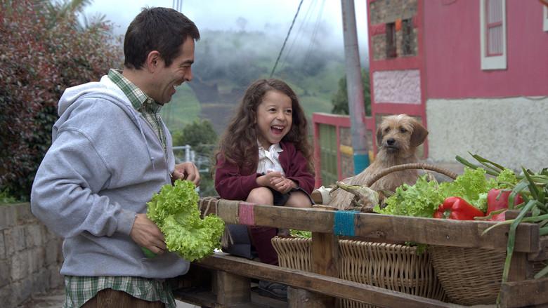 La Celda de los Milagros - Fondo