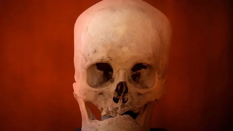 Los extraterrestres y la creación del hombre