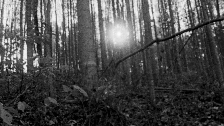 El proyecto de la bruja de Blair - Fondo