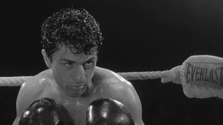 Toro salvaje - Fondo