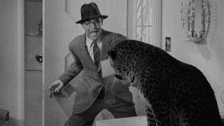 La fiera de mi niña - Fondo