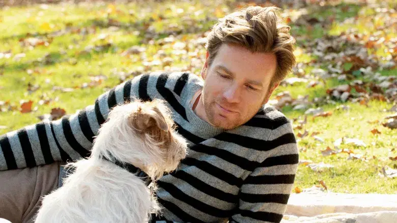 Beginners (Principiantes) - Fondo