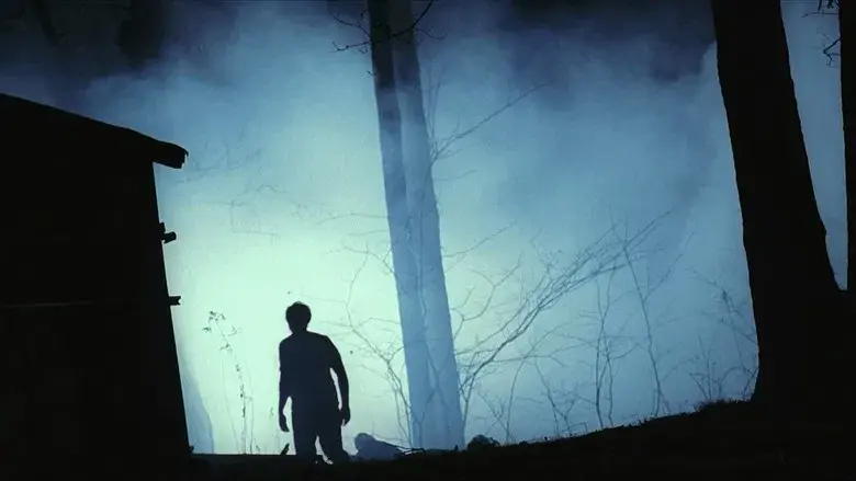 Mothman, la última profecía - Fondo