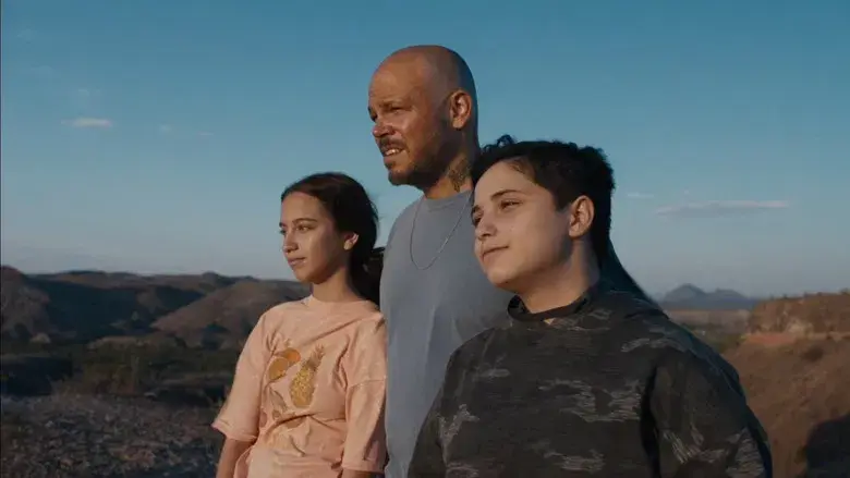 In the Summers - Fondo