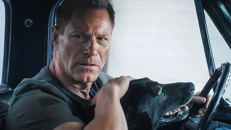 En busca de venganza 2: Ciudad de los lobos - Fondo