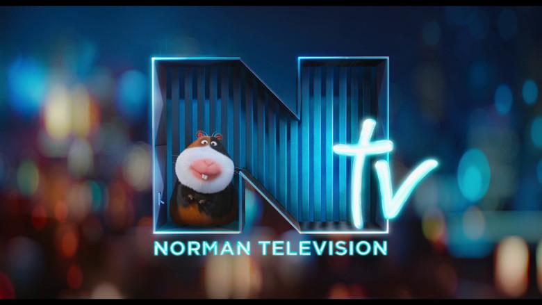 Norman Television - Fondo