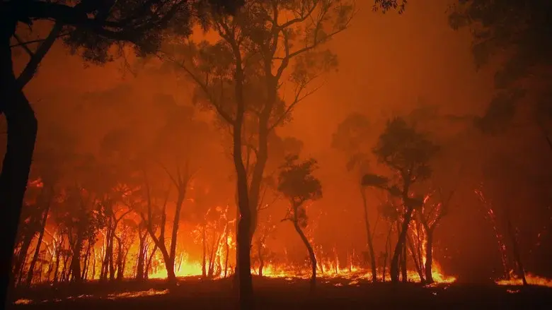 Burning - Fondo