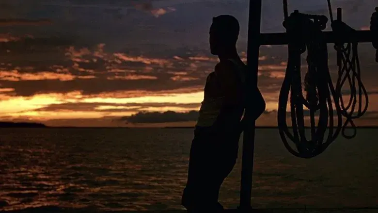 Forrest Gump - Fondo