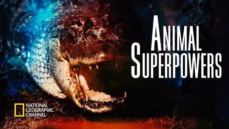 Animal Superpowers - Fondo