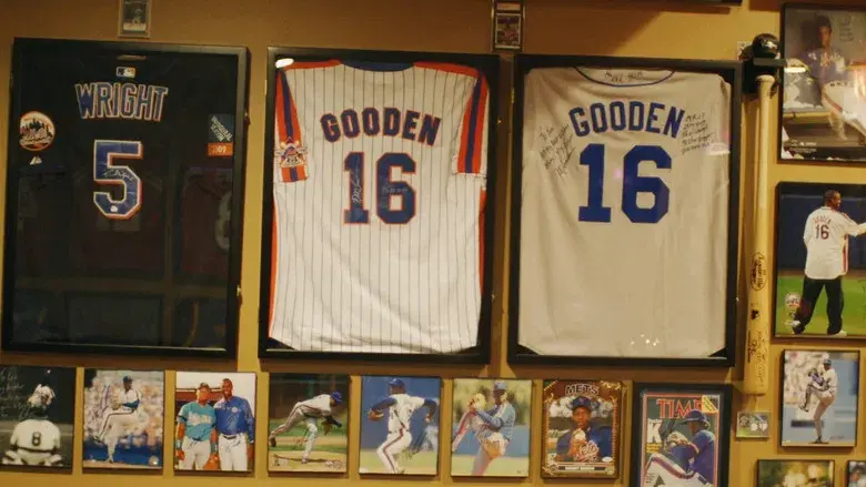 Hollywood Signs - Fondo