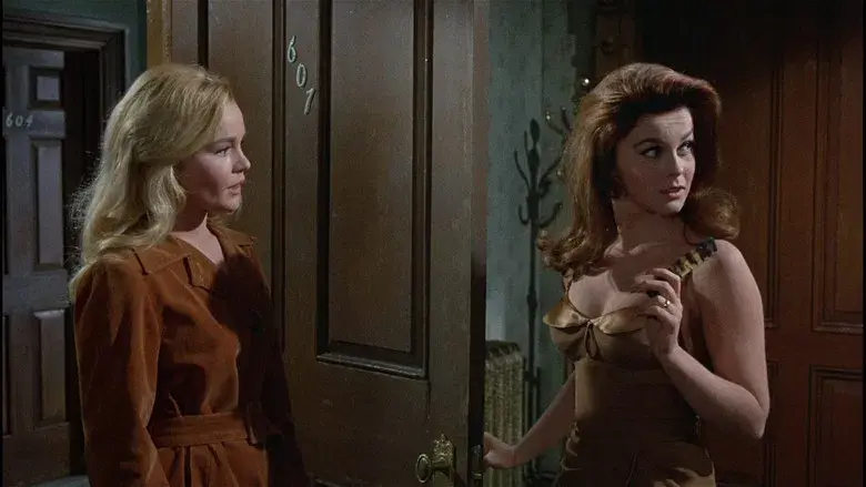 El rey del juego - Fondo