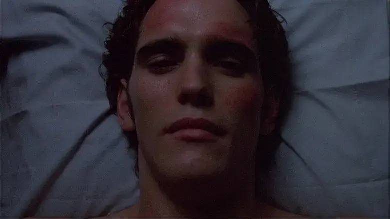 Drugstore Cowboy - Fondo