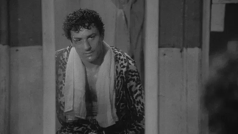 Toro salvaje - Fondo