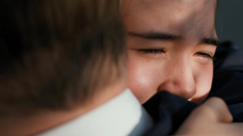 Rental Family - Fondo