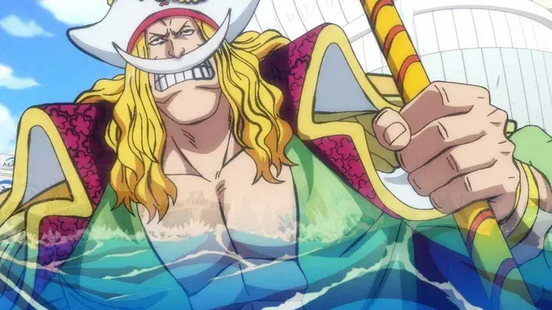 ¡El hermano menor de Barbablanca! ¡La gran aventura de Oden!