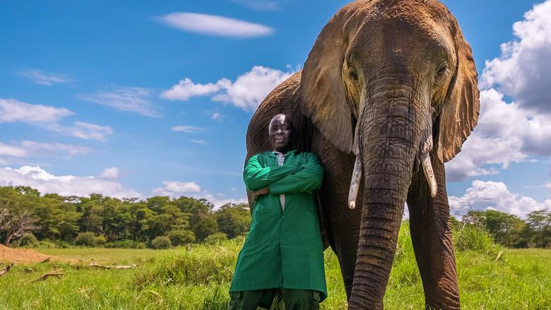 My Best Friend's An Animal - Fondo