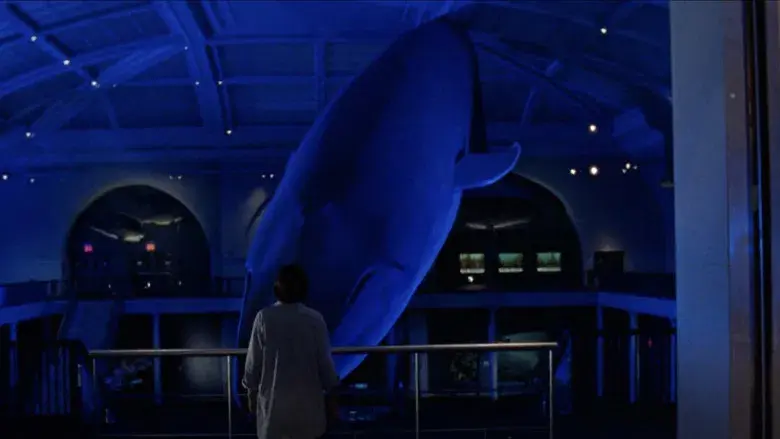 Una historia de Brooklyn - Fondo