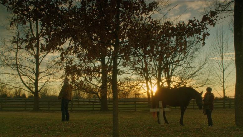 Orphan Horse - Fondo