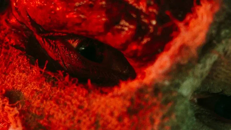 Darkman - Fondo