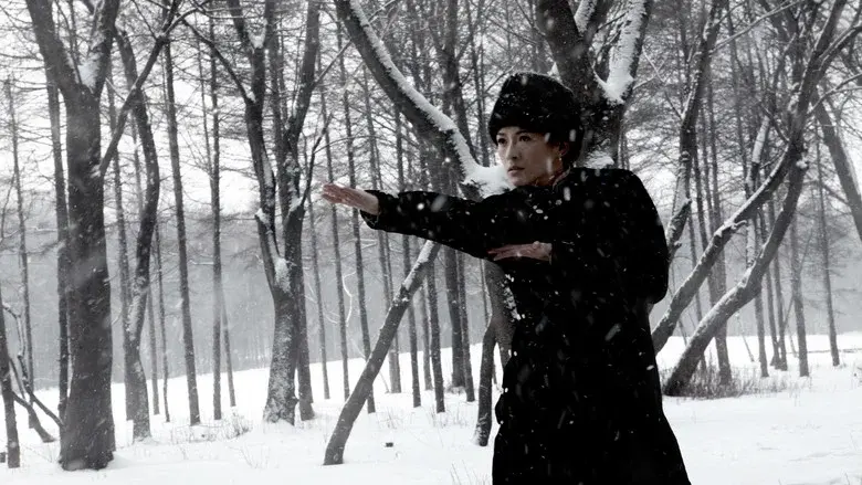 The Grandmaster - Fondo