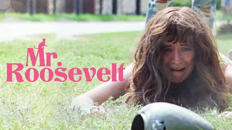 Mr. Roosevelt - Fondo