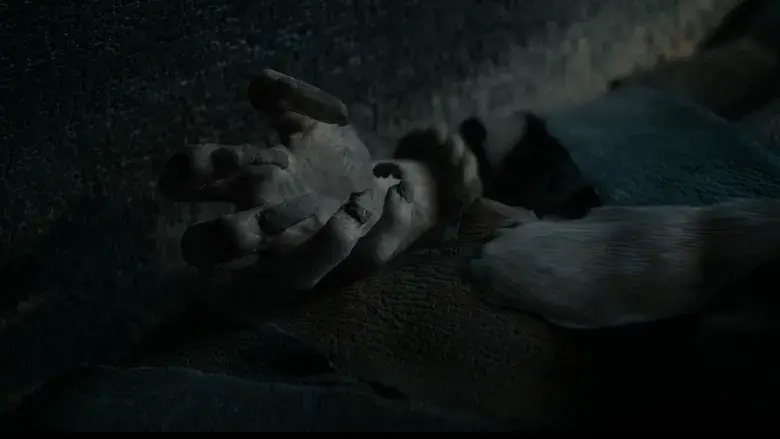 La momia de Lee Cronin - Fondo