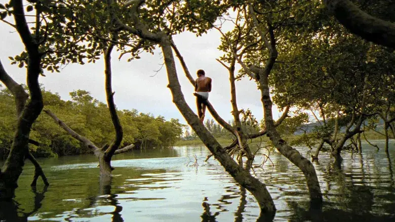 Ciudad de Dios - Fondo