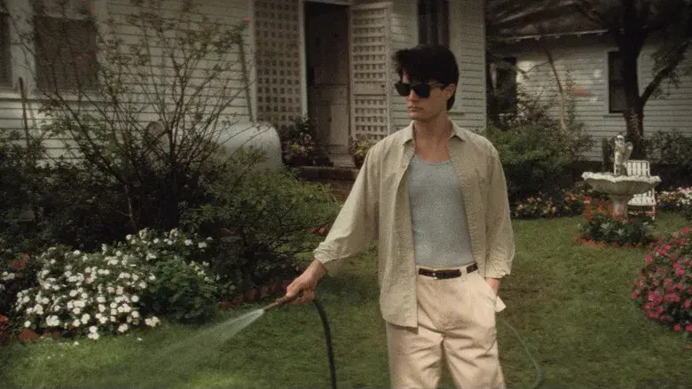 Terciopelo azul - Fondo