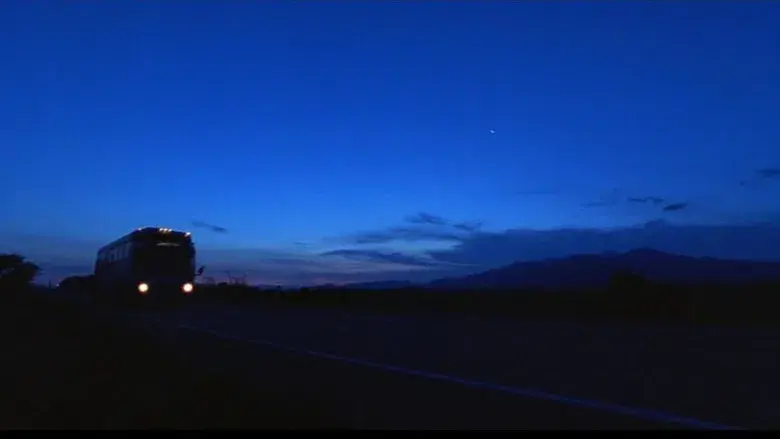 Casi famosos - Fondo