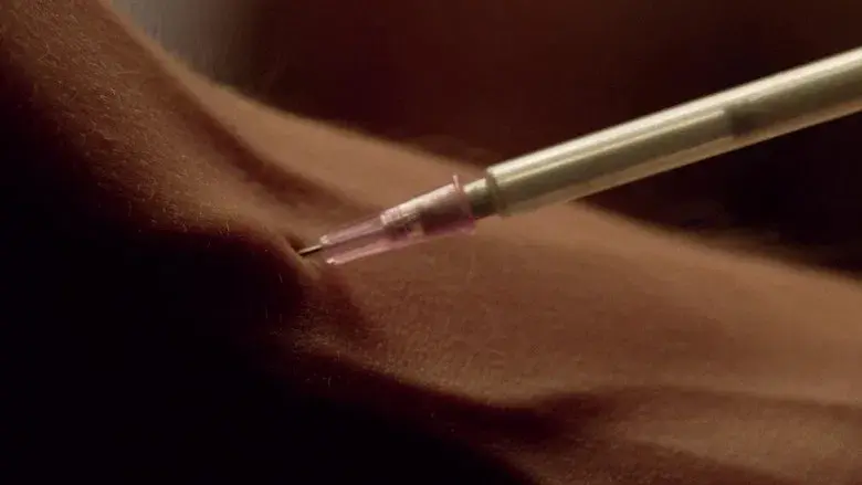 Breaking Bad - Fondo