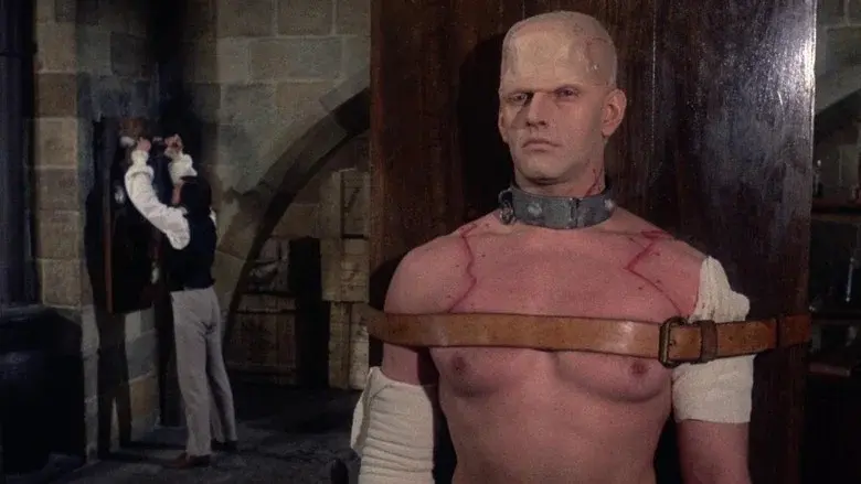 El horror de Frankenstein - Fondo