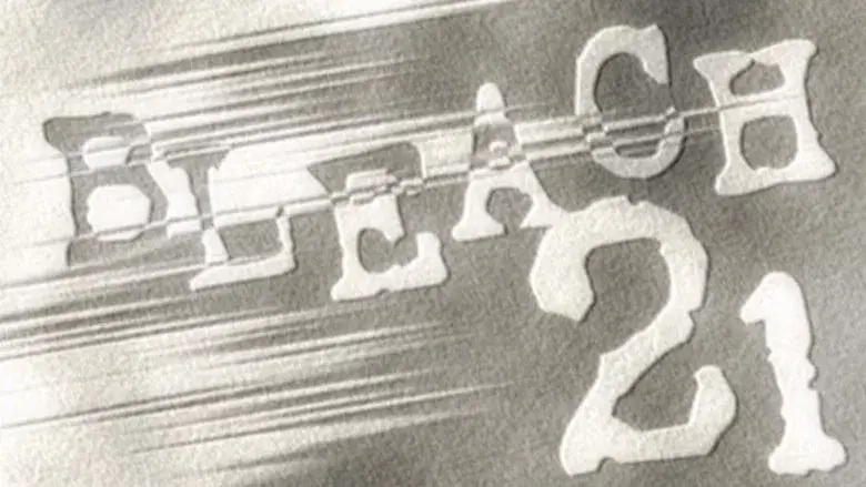 ¡Entra! El mundo de los shinigami