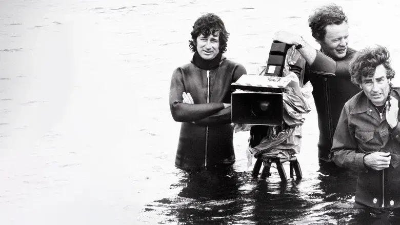 Tiburón: la historia definitiva - Fondo