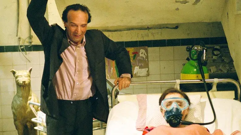 El tigre y la nieve - Fondo