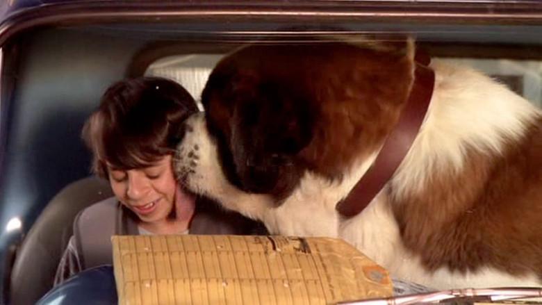 Beethoven: La gran oportunidad - Fondo