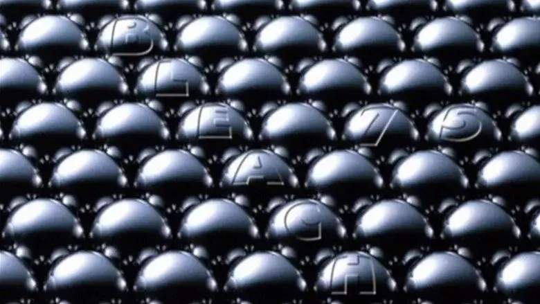 ¡Acontecimiento trascendental en el undécimo escuadrón! El Shinigami que se alza de nuevo