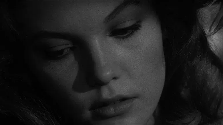 La ley de la calle - Fondo