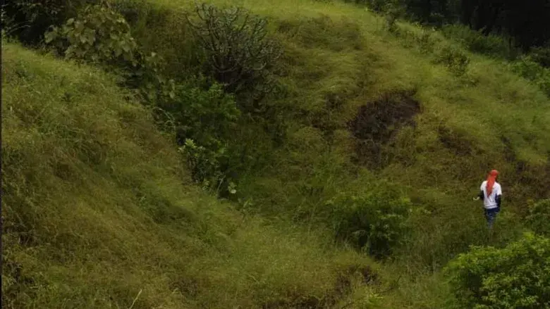 La luz que imaginamos - Fondo