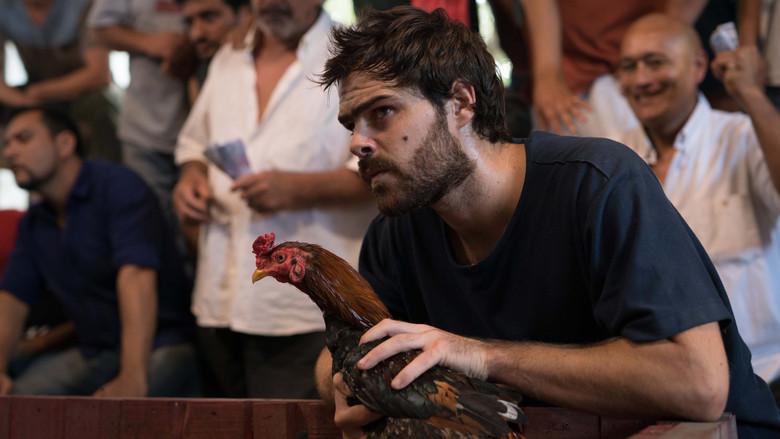 Un gallo para Esculapio - Fondo