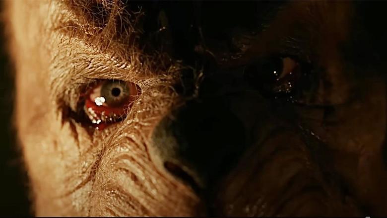 Winnie the Pooh 2: El bosque sangriento - Fondo