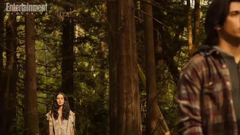 Yellowjackets - Fondo