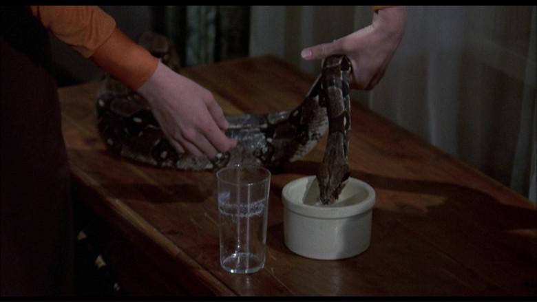 Sssssss: Silbido de muerte - Fondo