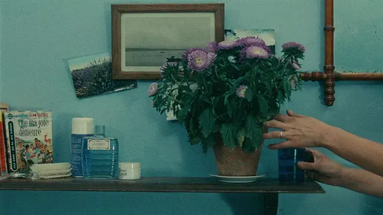 La felicidad - Fondo