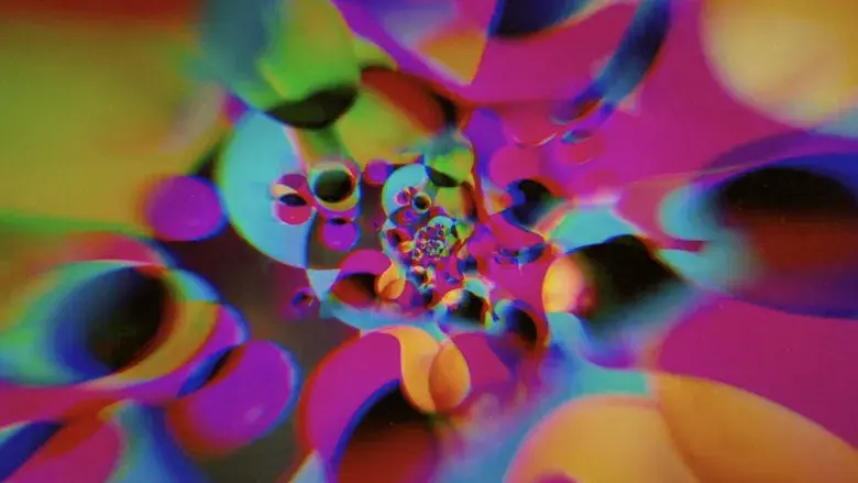 Dos chicas a la fuga - Fondo