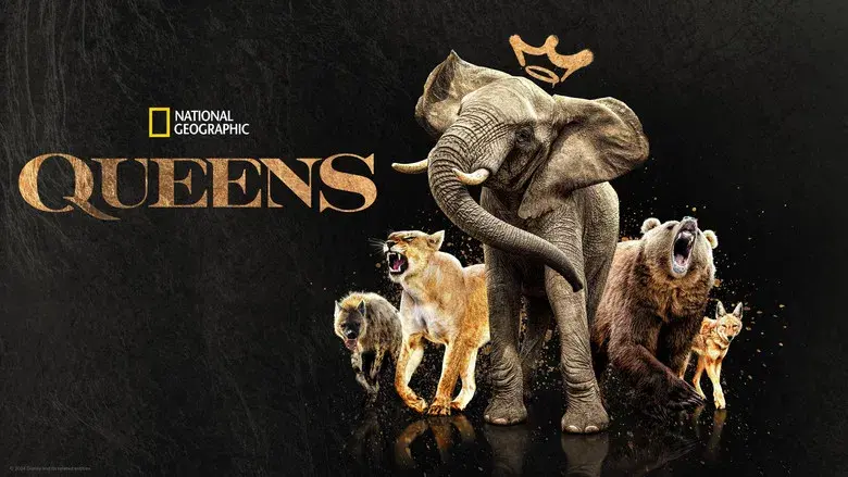 Reinas del mundo salvaje - Fondo