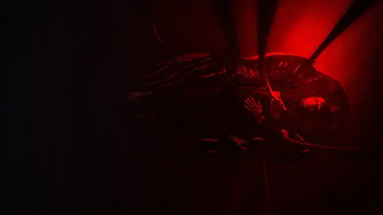 Crímenes del futuro - Fondo