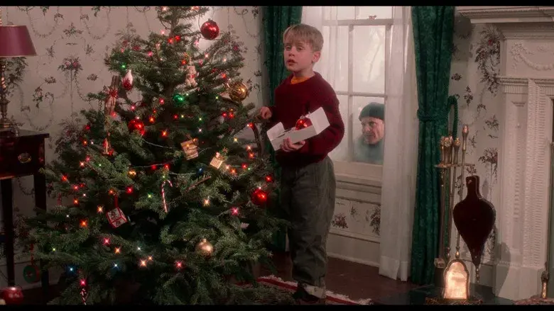 Solo en casa - Fondo