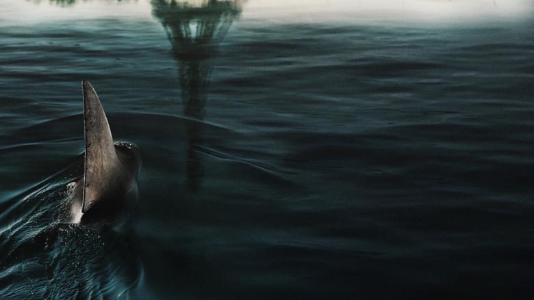 En las profundidades del Sena - Fondo